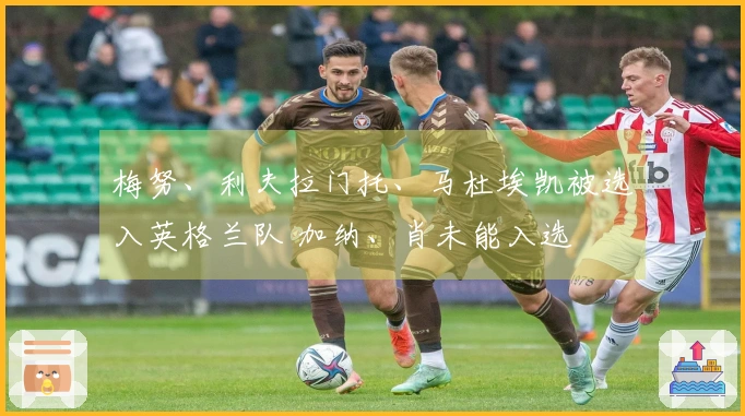 梅努、利夫拉门托、马杜埃凯被选入英格兰队 加纳、肖未能入选